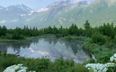 Alaska Medicaid ABA Rates Jumped Roughly 41 Percent on July 1, 2026, Lifting the State to the Top of the Regional Range. A Guidehouse Rate Study, Not Inflation, Reset the Numbers.