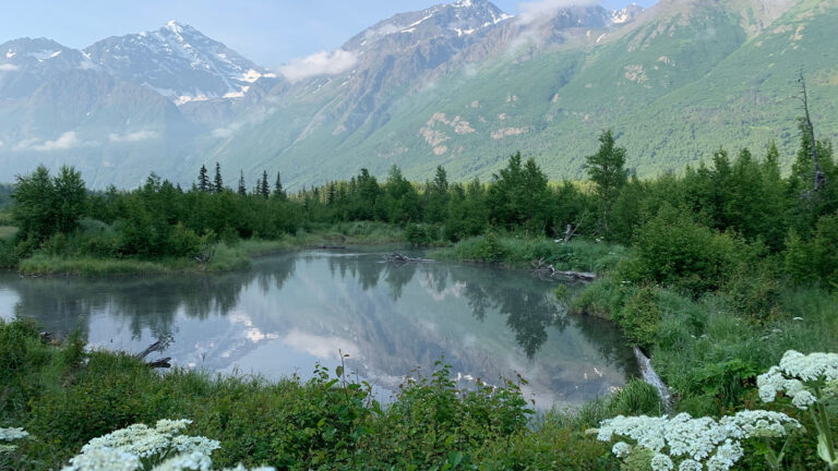 Alaska Medicaid ABA Rates Jumped Roughly 41 Percent on July 1, 2026, Lifting the State to the Top of the Regional Range. A Guidehouse Rate Study, Not Inflation, Reset the Numbers.