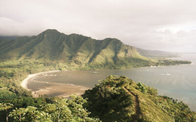 Hawaii Medicaid ABA Rates Rose Sharply in 2025 on Funding Lawmakers Approved for One Year. The June 2026 Fee Schedule Still Carries the Higher Rates.