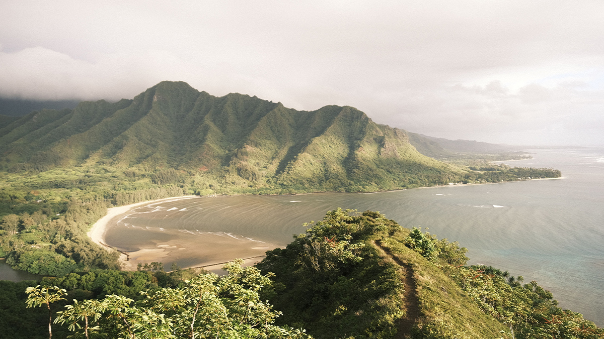acuity-news-hawaii-medicaid-aba-rates-fee-schedule-2026